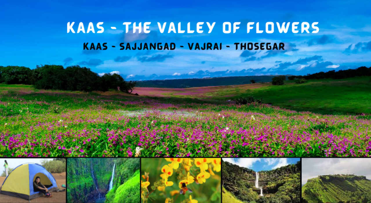 Kaas - Sajjangad - Vajrai - Thoseghar Tour From Mumbai 2024 | Mischief Treks | Kaas Plateau Booking | Navratri 2024