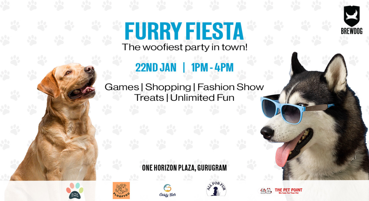 FURRY FIESTA AT BREWDOG