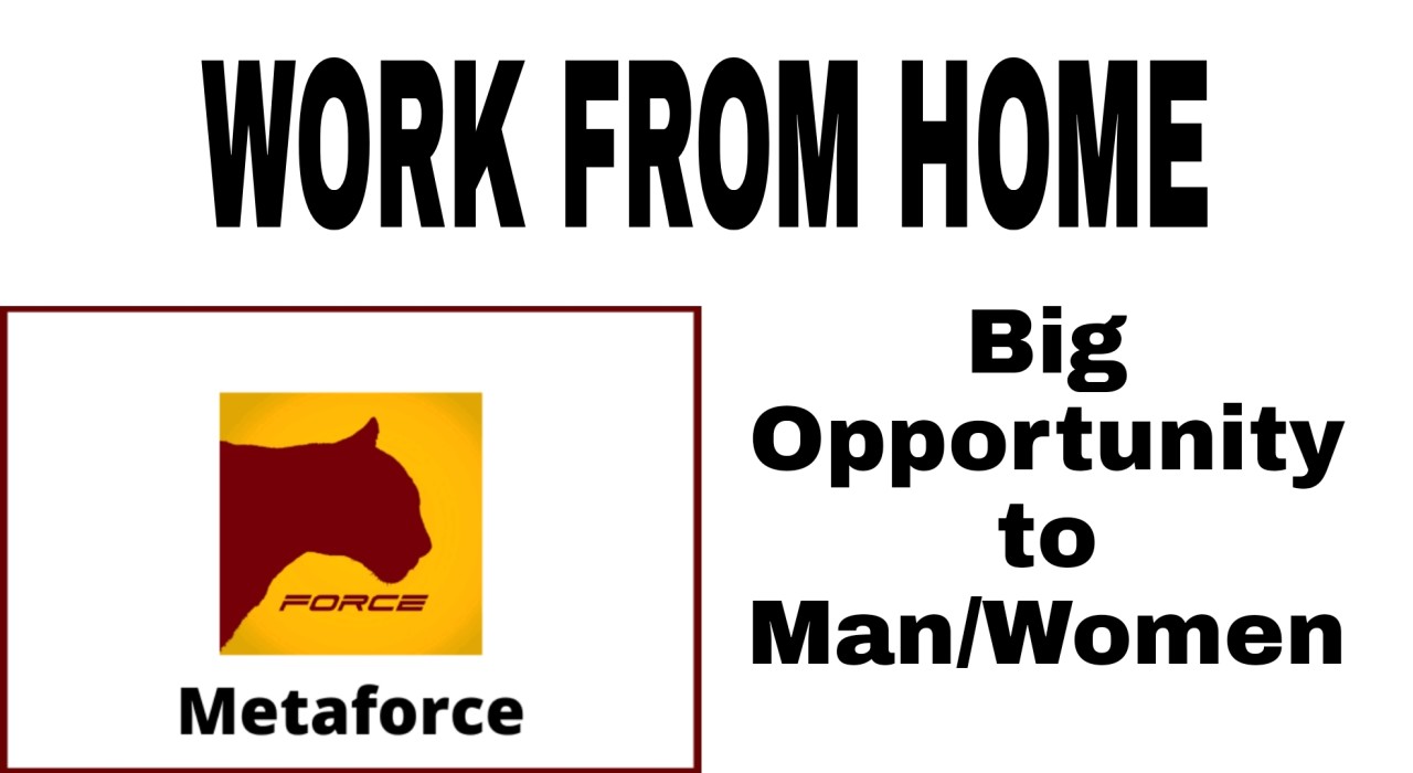 Meta Force Business Plan ( Work From Home )
