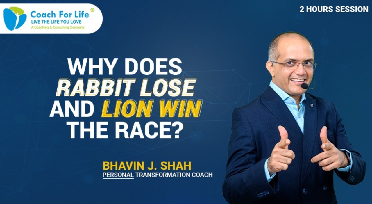 Why Does Rabbit Lose And Lion Win The Race?