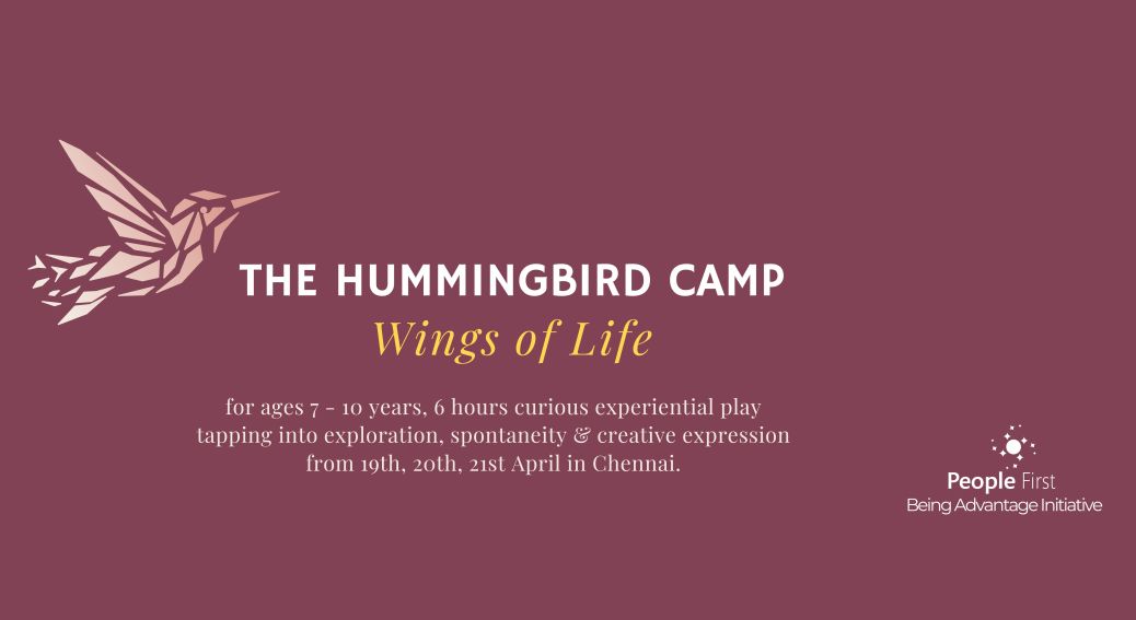 The Hummingbird Camp