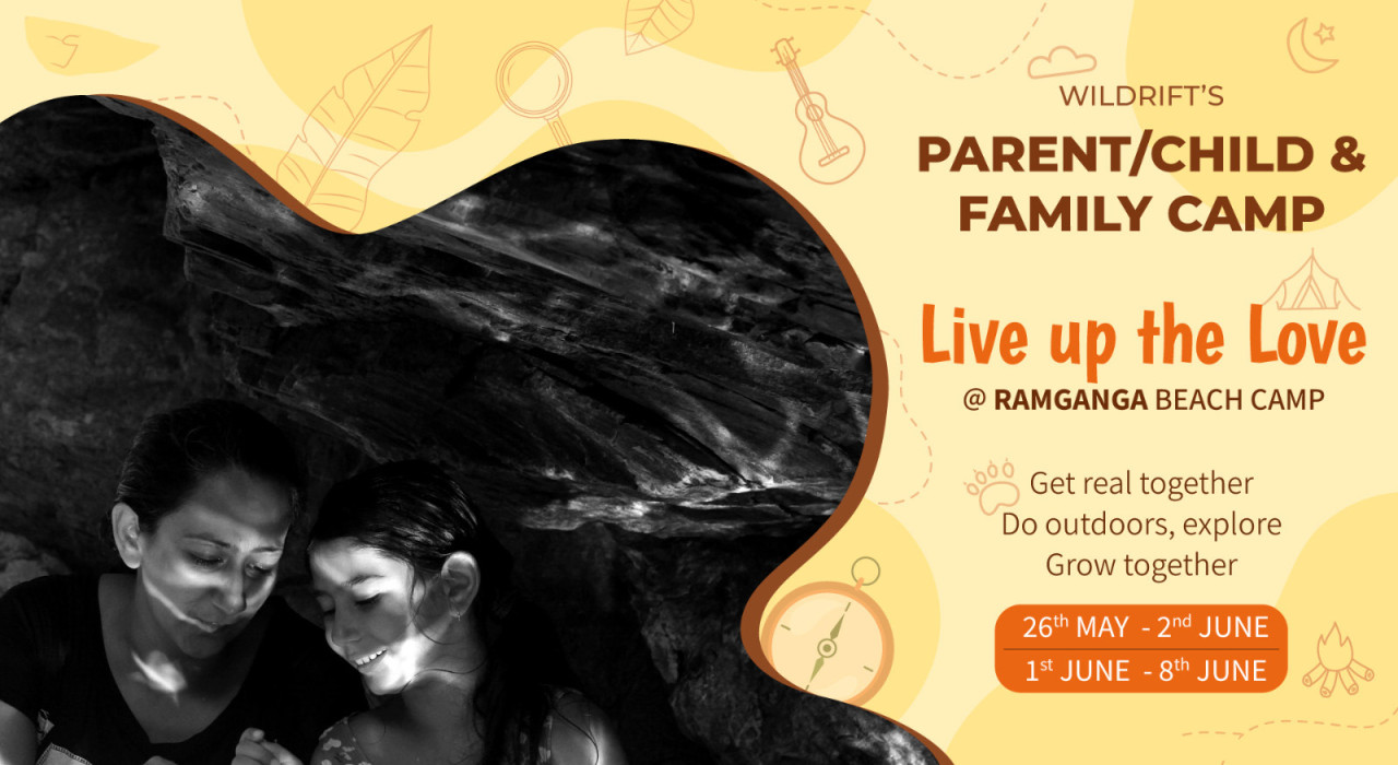 Parent-child & Family Summer Camp