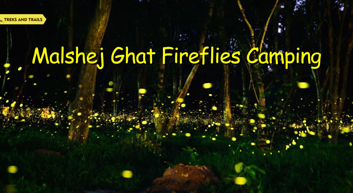 Malshej Fireflies Camping - Treks and Trails