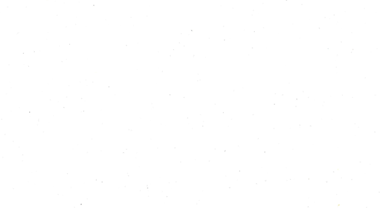 INDIA INTERNATIONAL MEGA TRADE FAIR