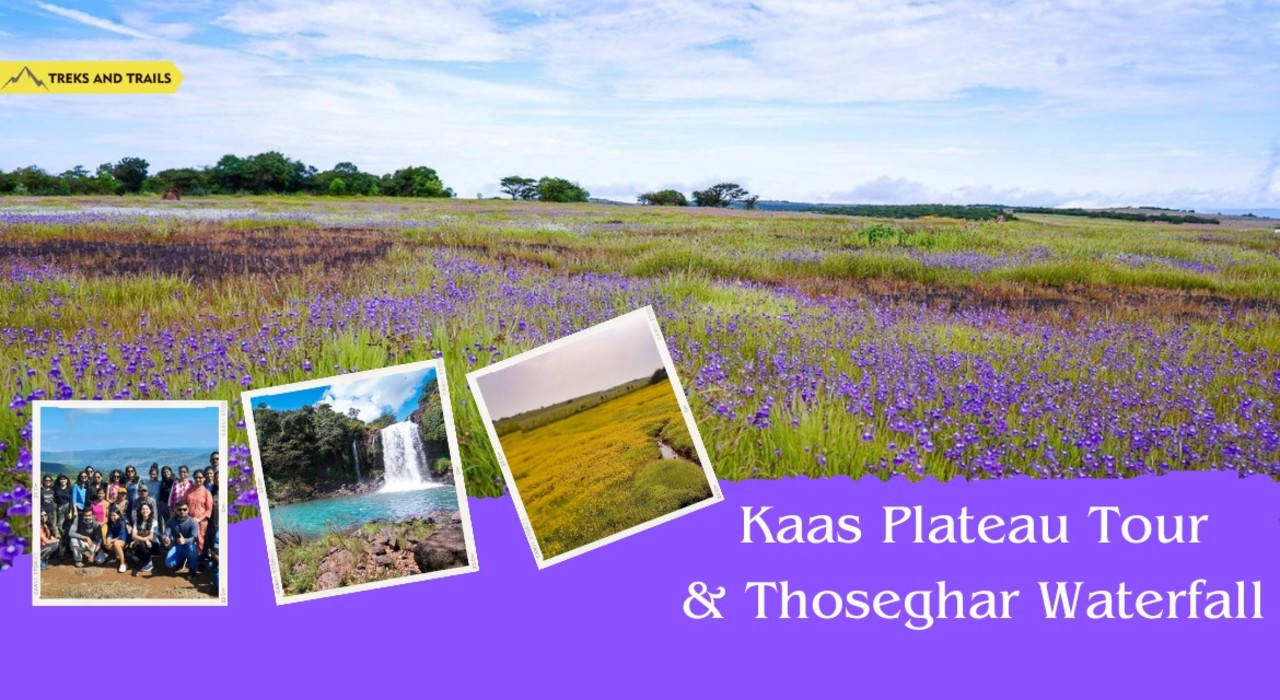 Kaas Plateau Tour and Thoseghar Waterfall - Ac Bus