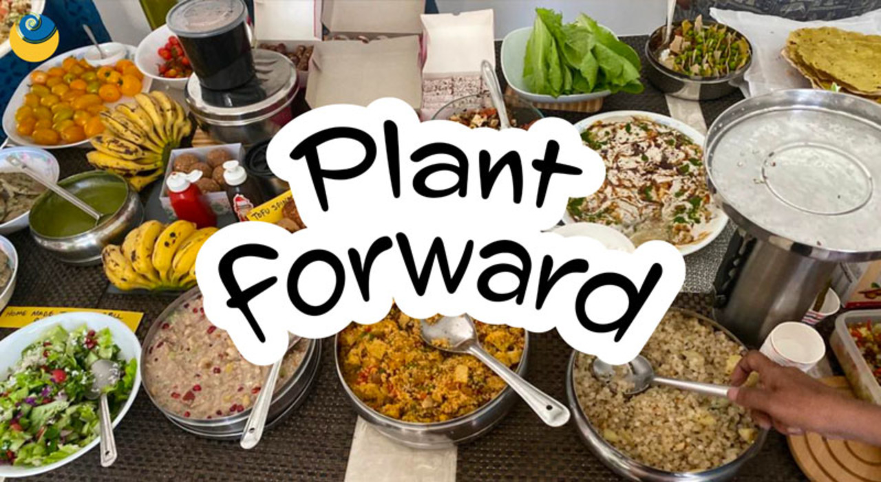 Potluck Lunch Party – Mumbai – Free Event