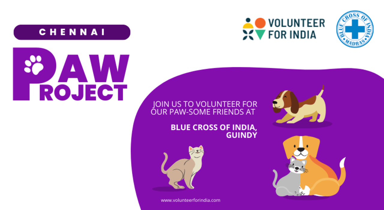 PAW Project for Dog Lovers