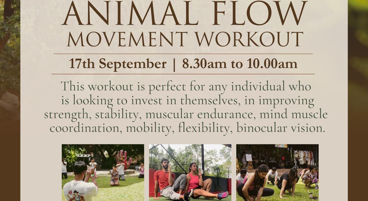 Animal Flow Movement Workout