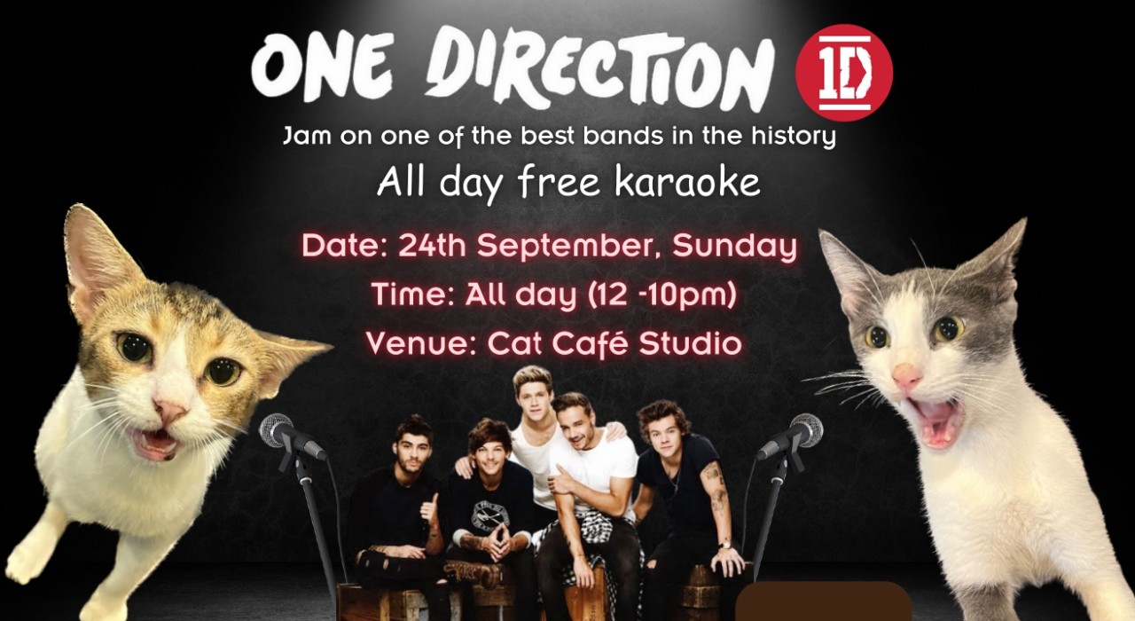 All day free 1Direction Karaoke at Cat Café Studio, Mumbai