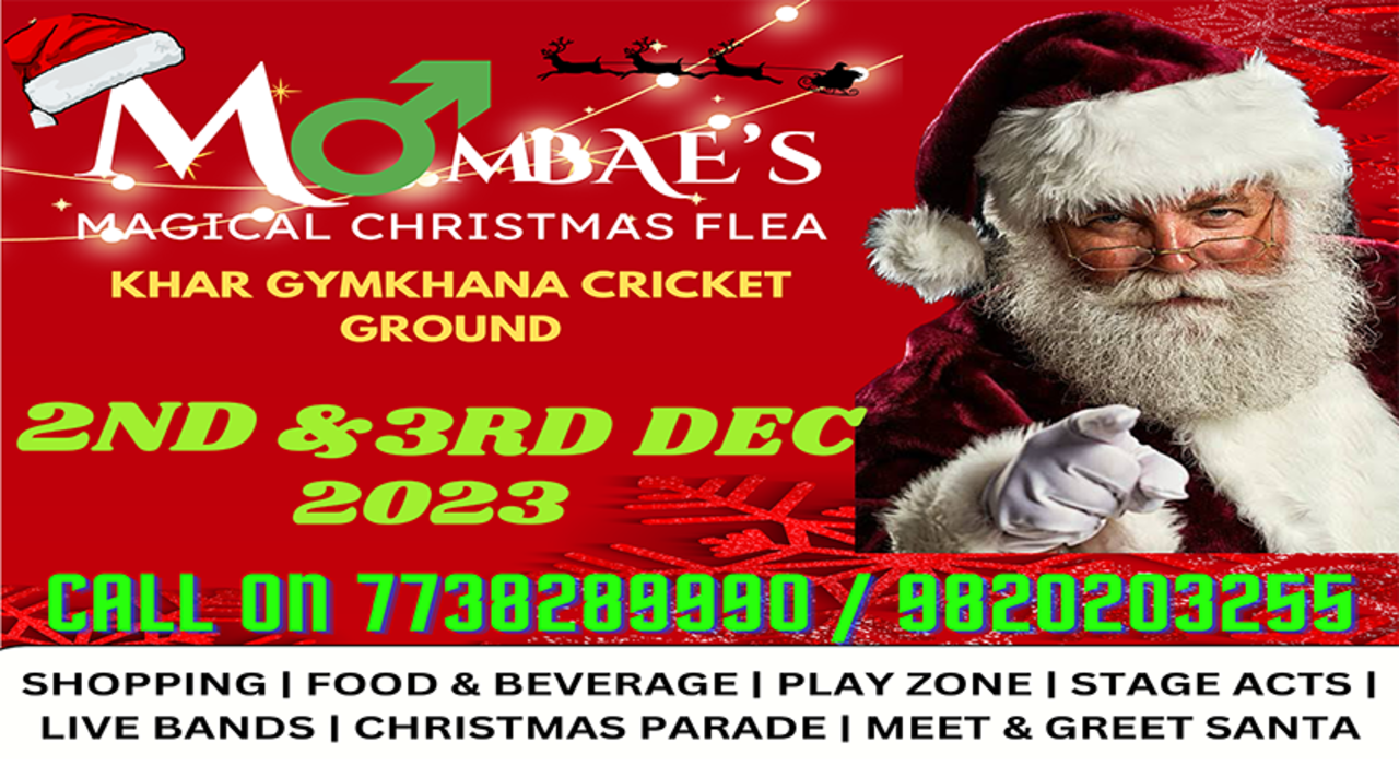 MomBAE's Magical Christmas Flea