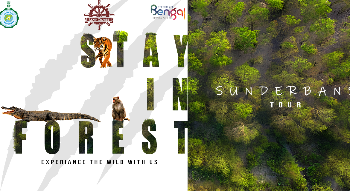 SUNDERBANS TOUR STAY IN FOREST | Christmas 2023