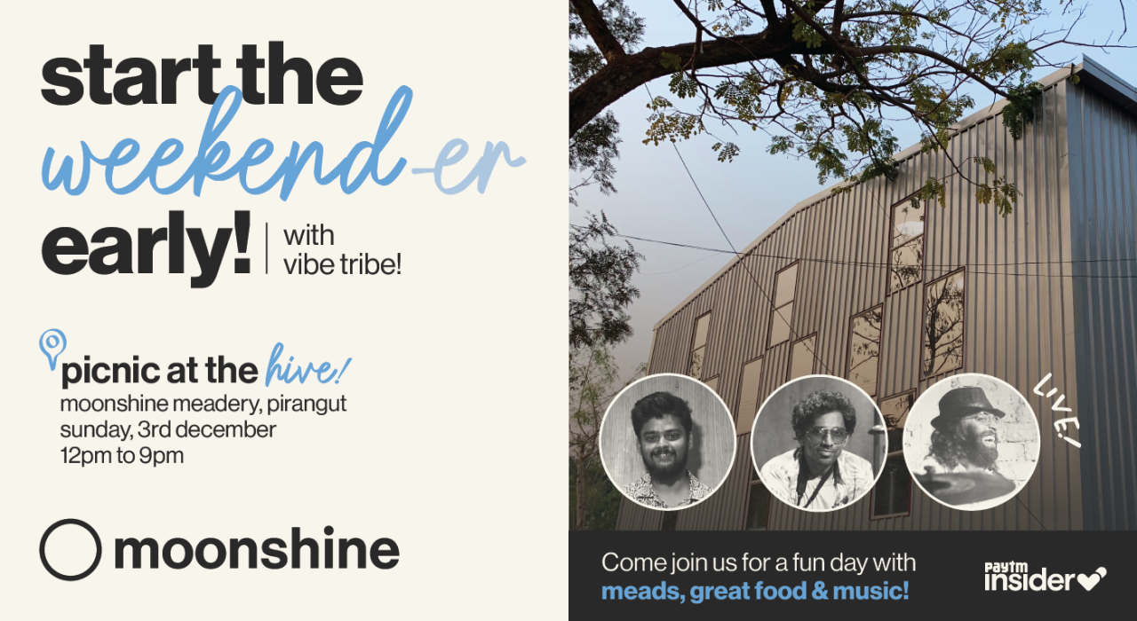Picnic at the Hive ft. The Vibe Tribe