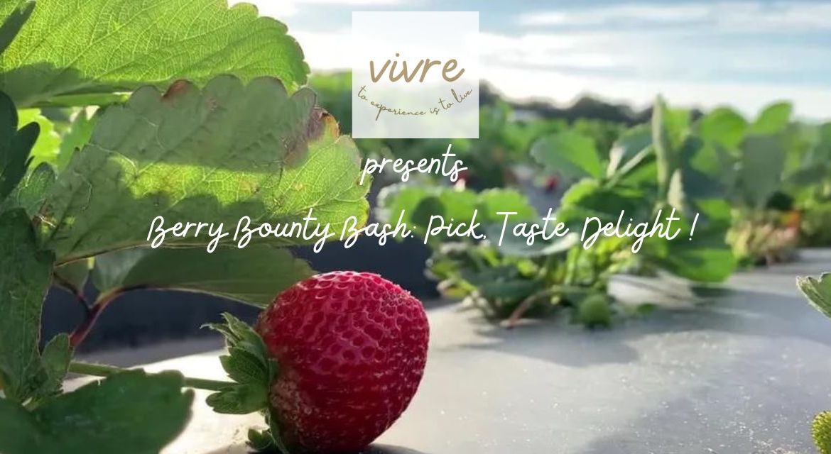 Vivre's Berry Bounty Bash: Pick, Taste, Delight !