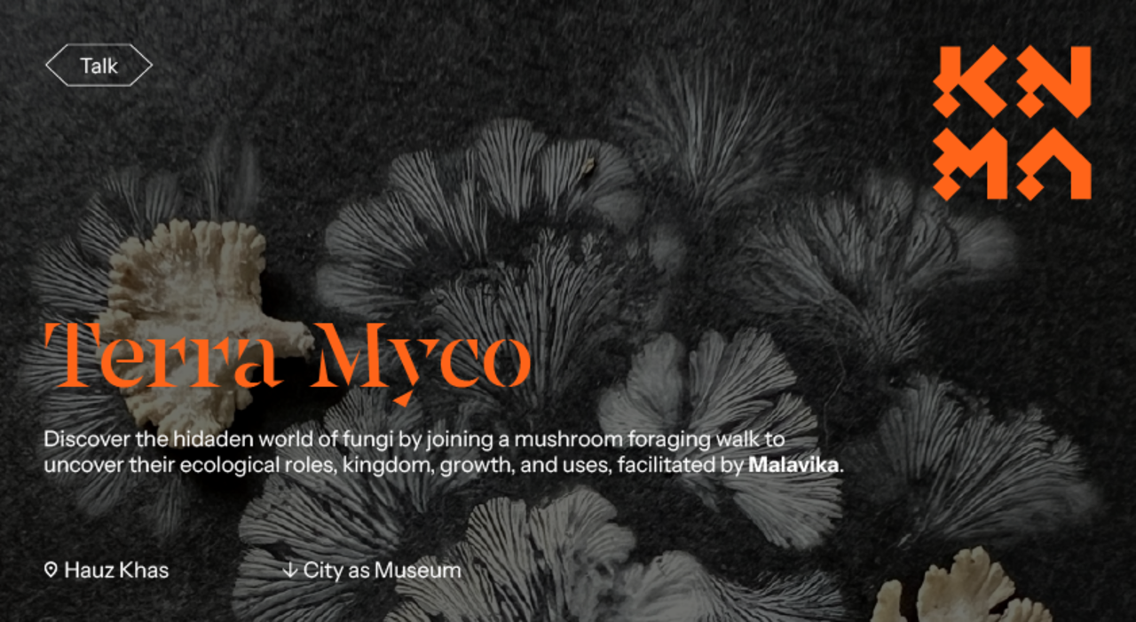 Terra Myco