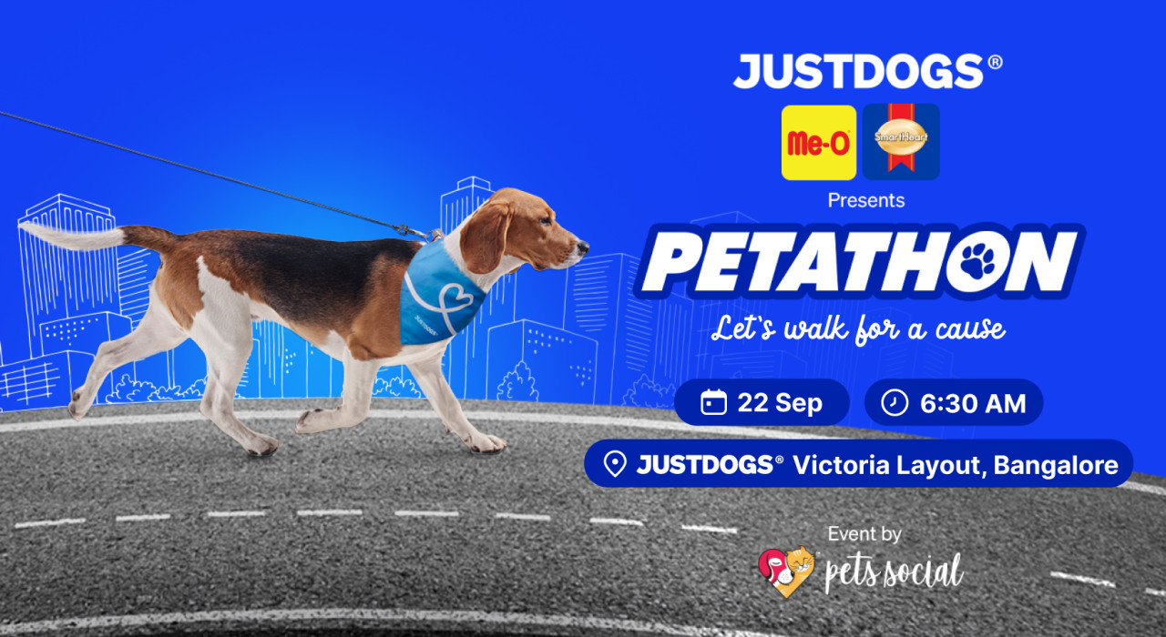 Petathon - Bangalore