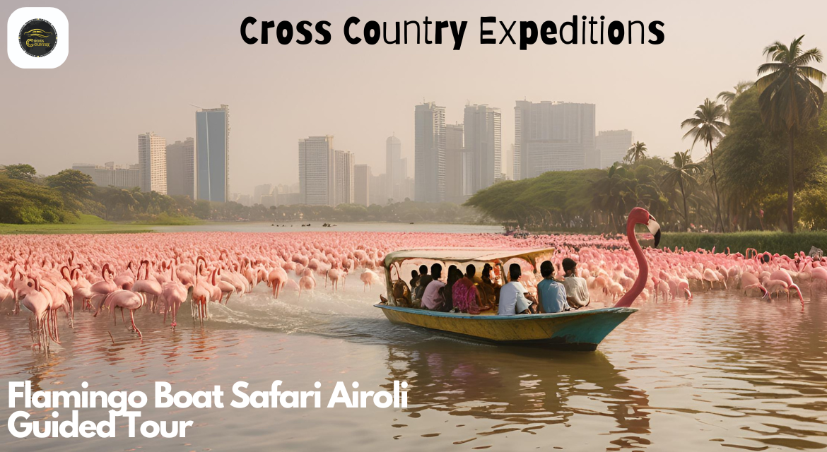 Flamingo Boat Safari Airoli Mumbai