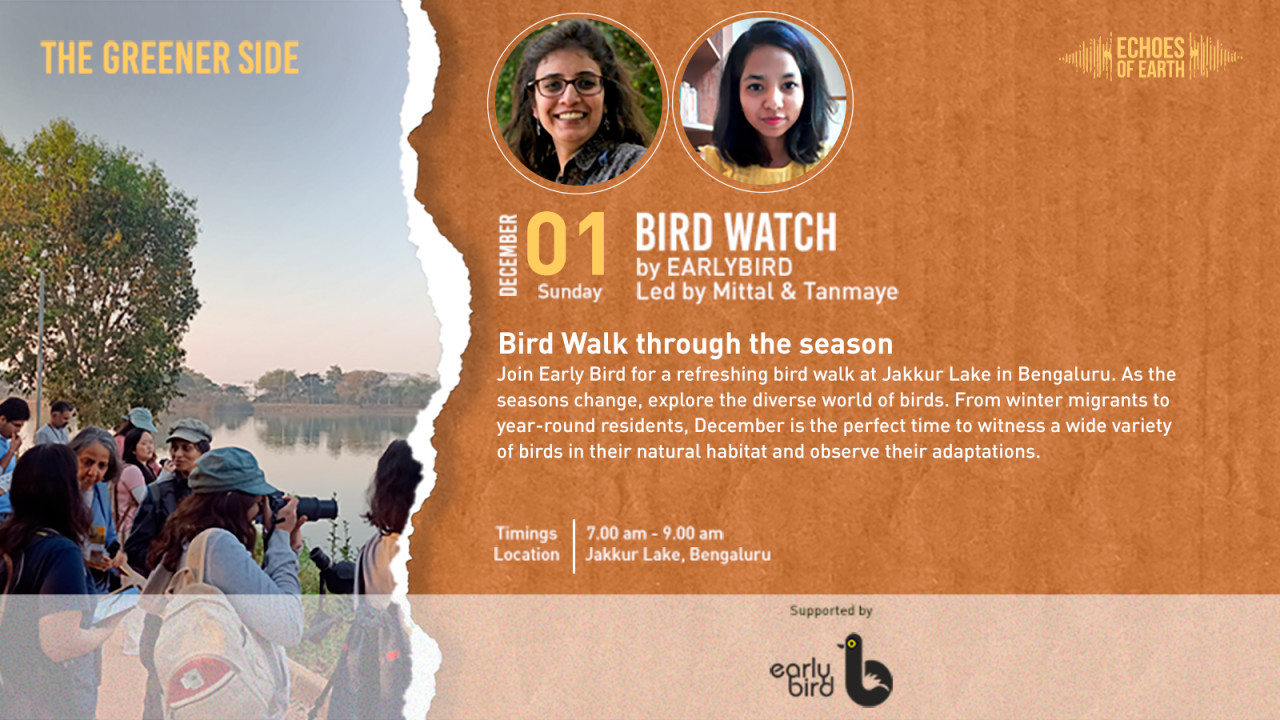 Bird Watch | Bengaluru