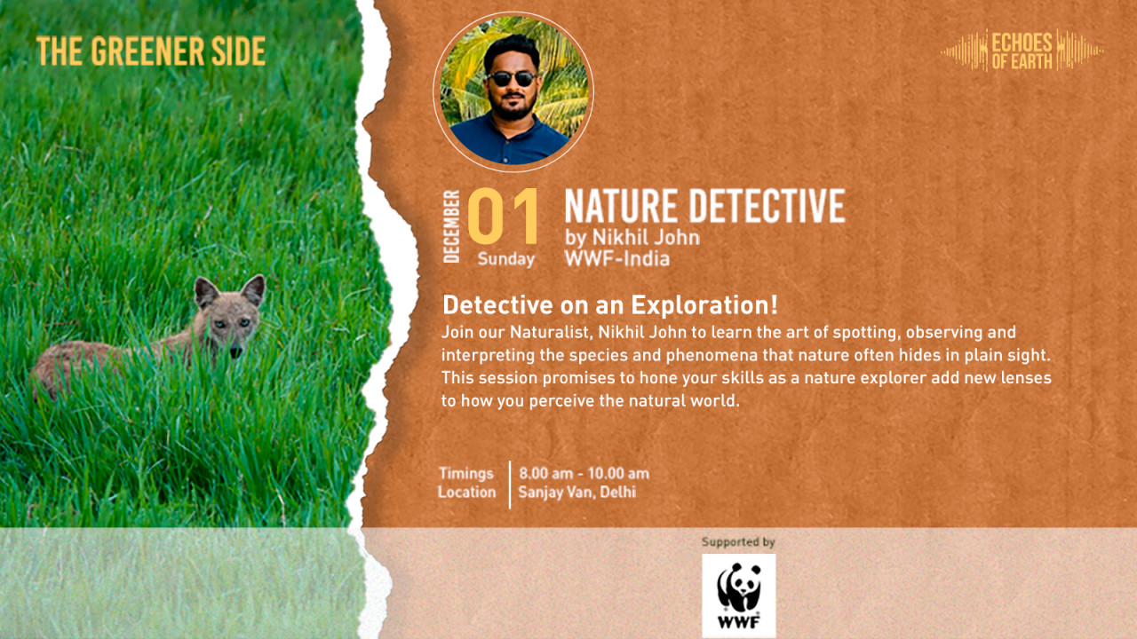 Nature Detective | Delhi