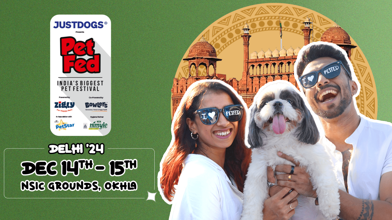Pet Fed Delhi 2024