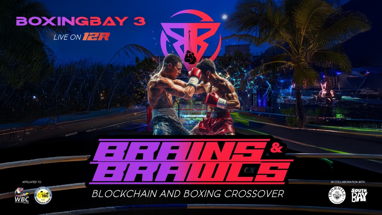 Boxingbay 3: Brains & Brawls