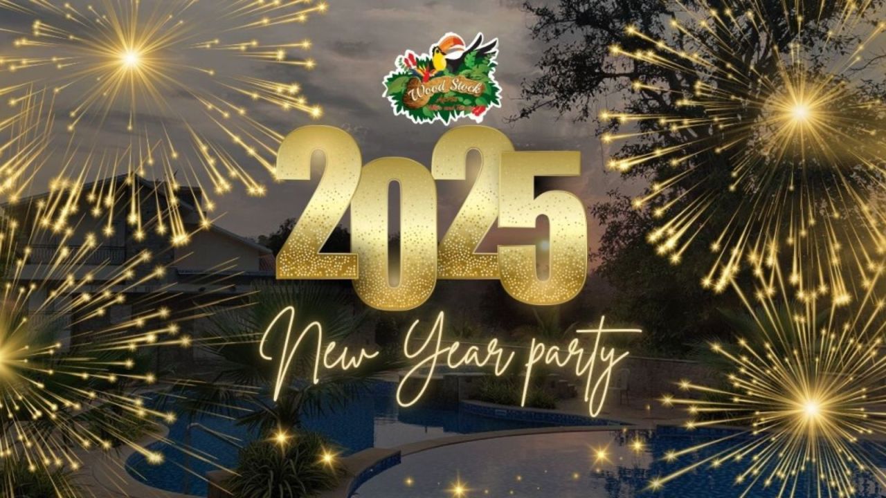 2025 New Year Party NY Parties 2025 Event in Mumbai