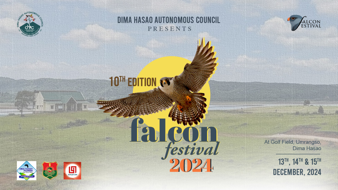 Falcon Festival 2024
