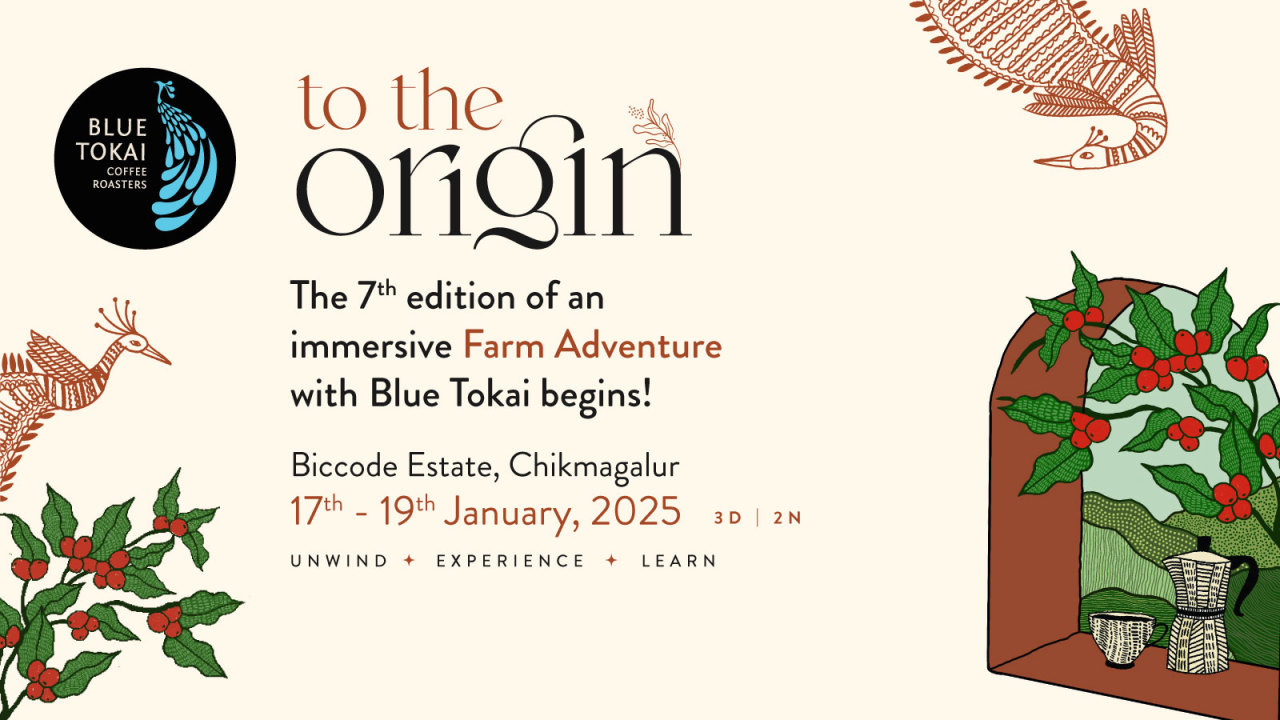 To the Origin