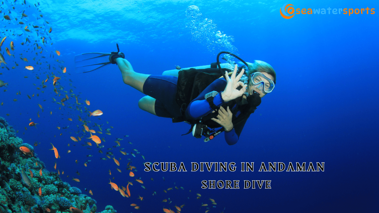 Affordable Scuba Diving In Andaman (Shore Dive)
