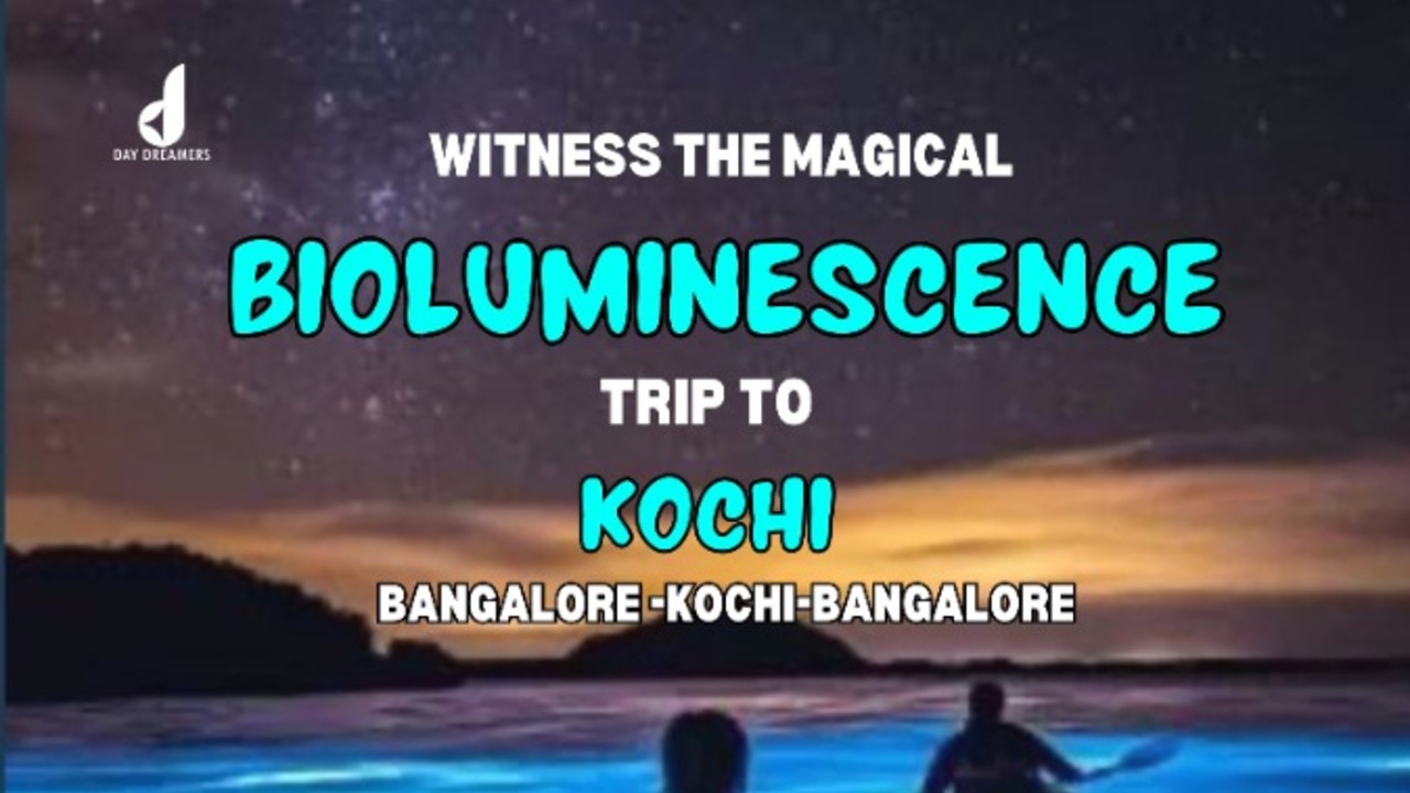 Bioluminescence Trip To Kochi | Holi 2025