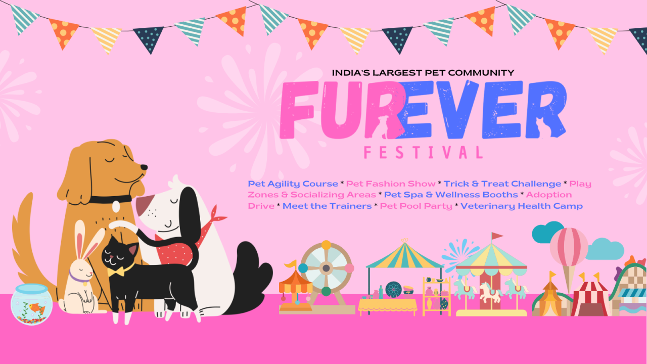 Furever Festival 2025