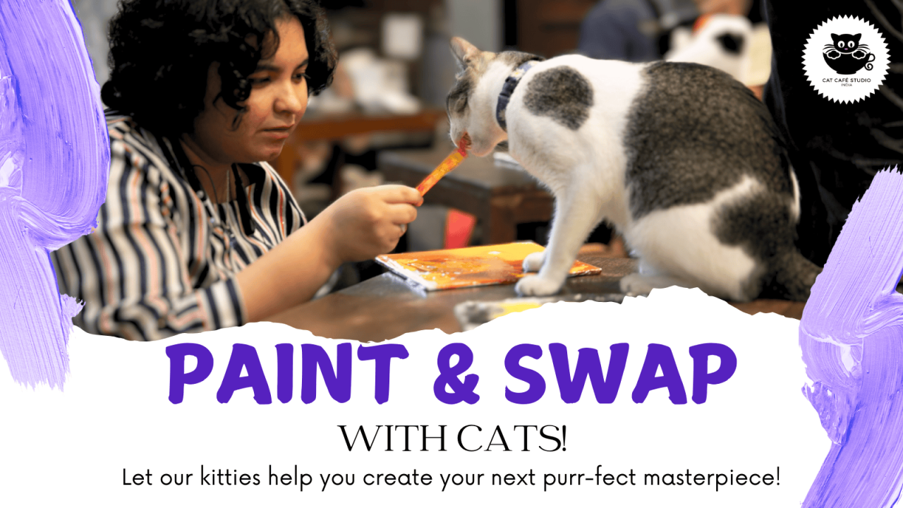 Paint and Swap with Cats at Cat Café Studio!