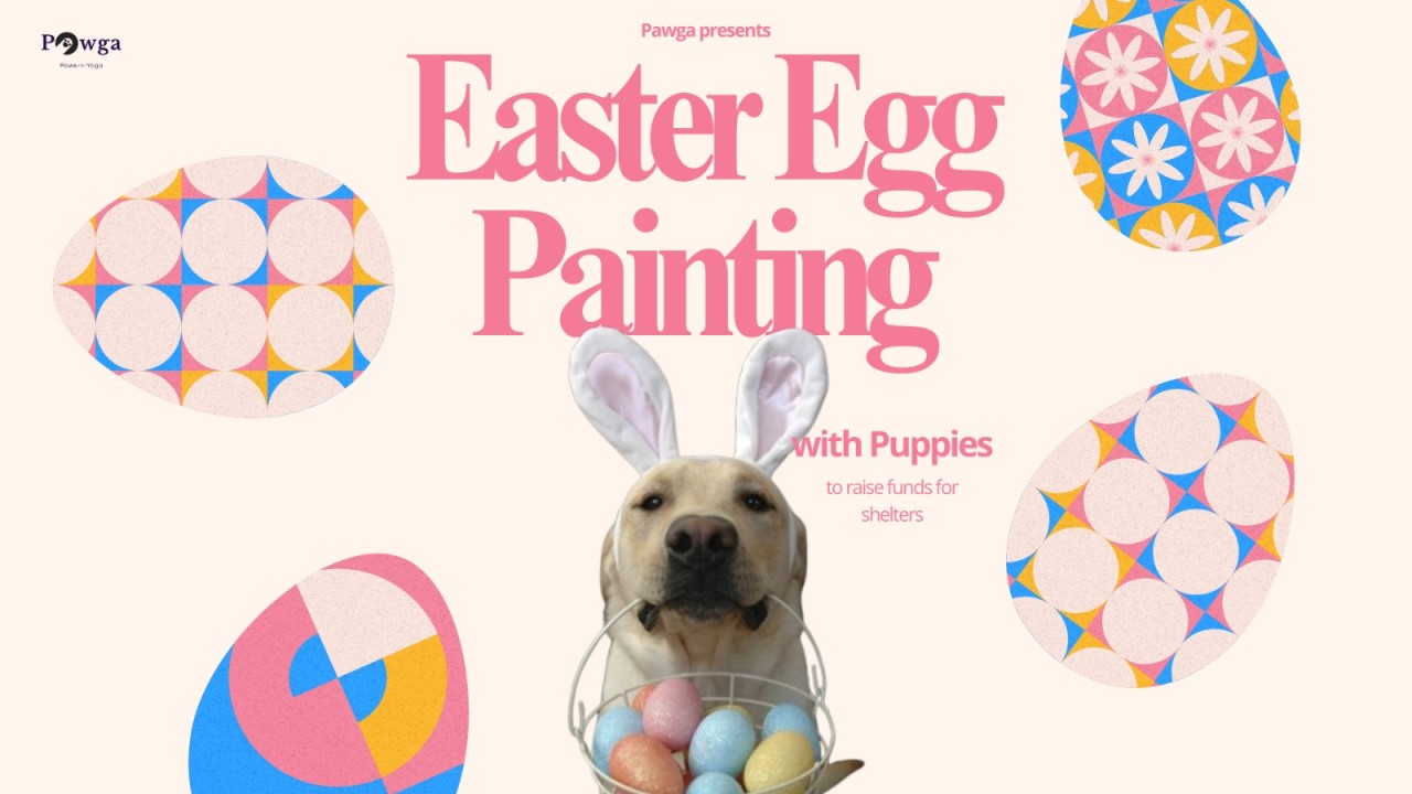 Easter Egg Painting with Puppies | Bangalore