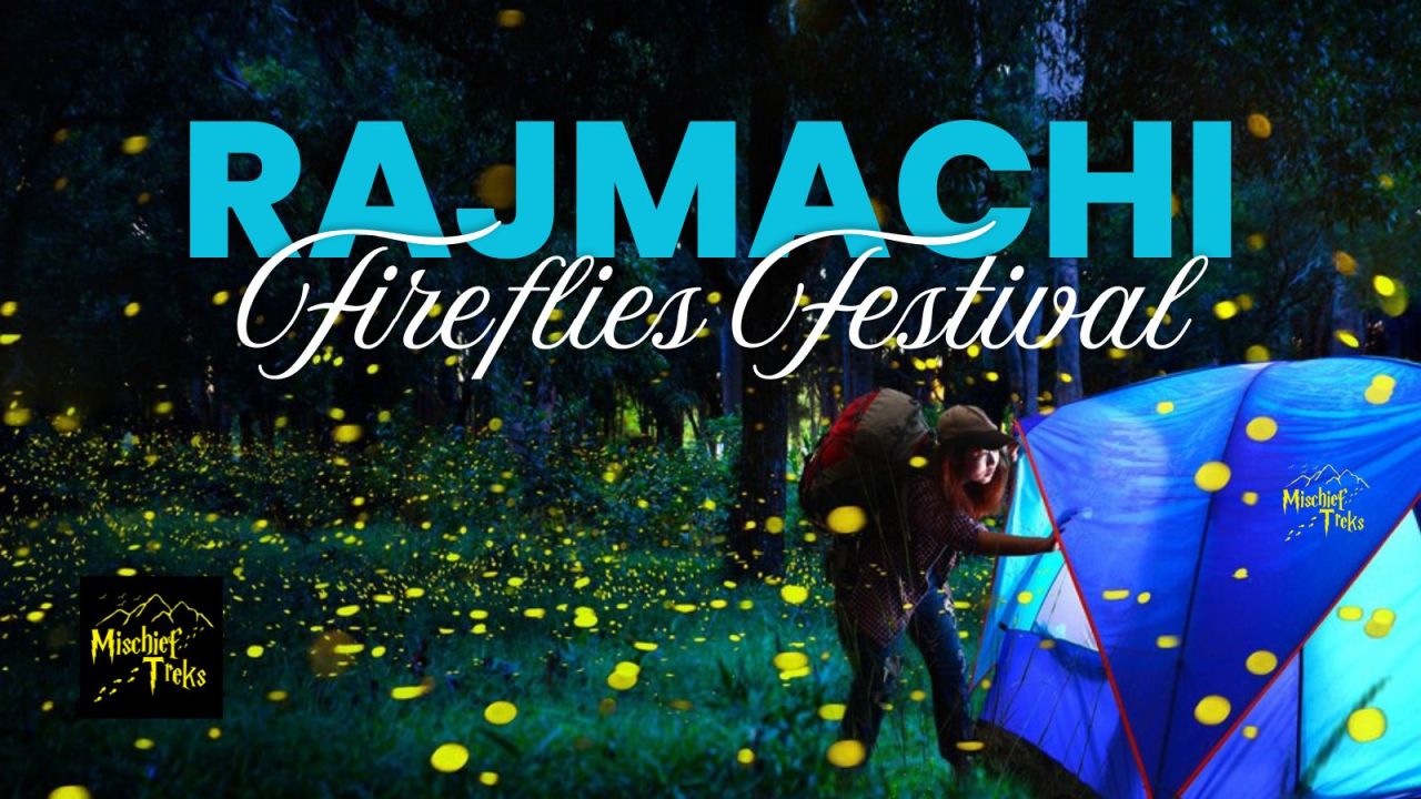 Rajmachi Fireflies Festival 2025 by Mischief Treks