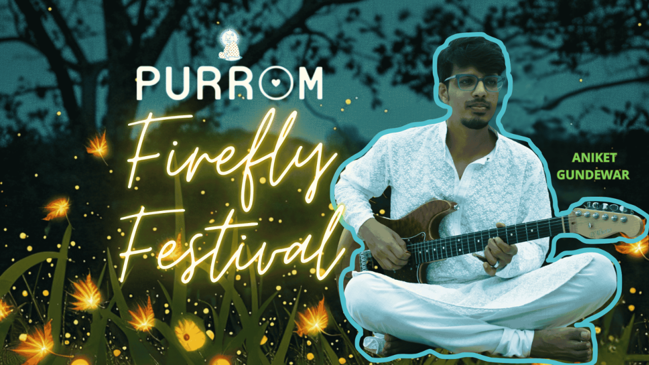 Purrom's Firefly Festival - Where music, stars, and fireflies meet!