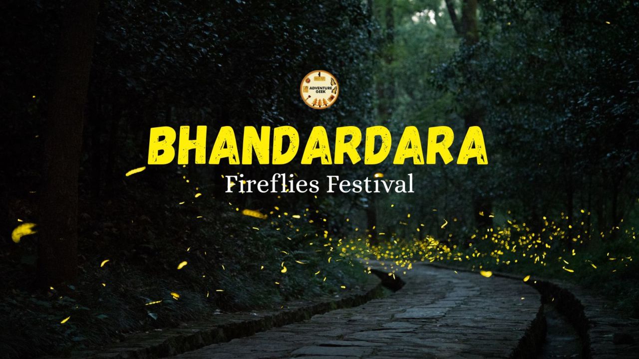 Bhandardara Fireflies Festival 2025 | Adventure Geek