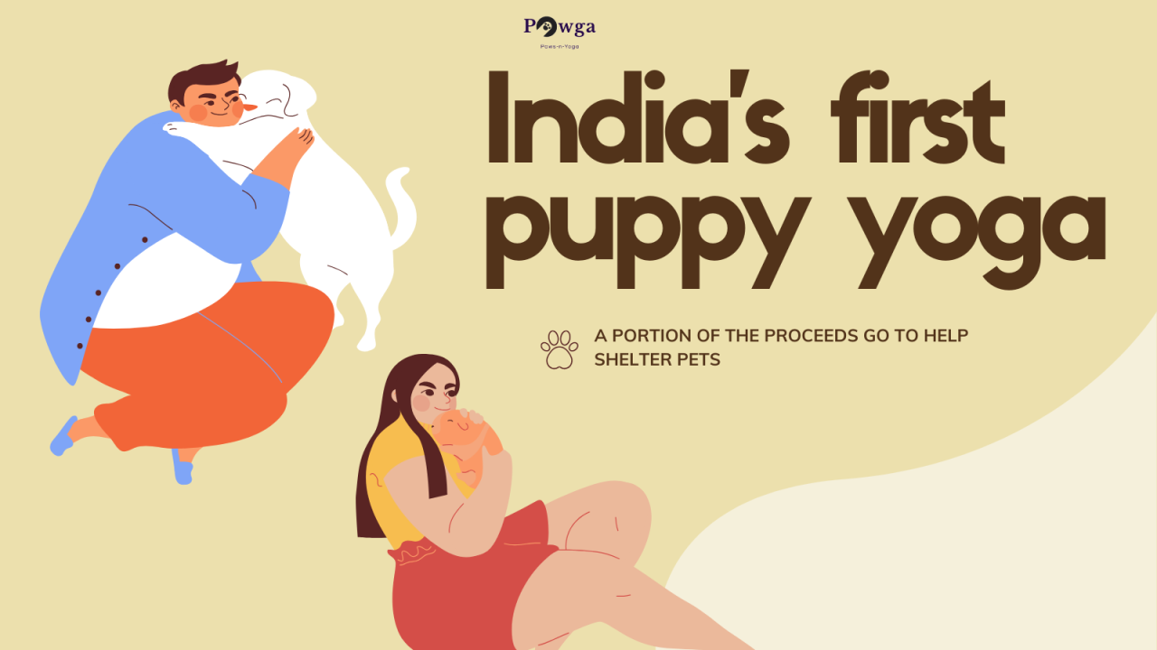 Puppy Yoga with Pawga in Hyderabad