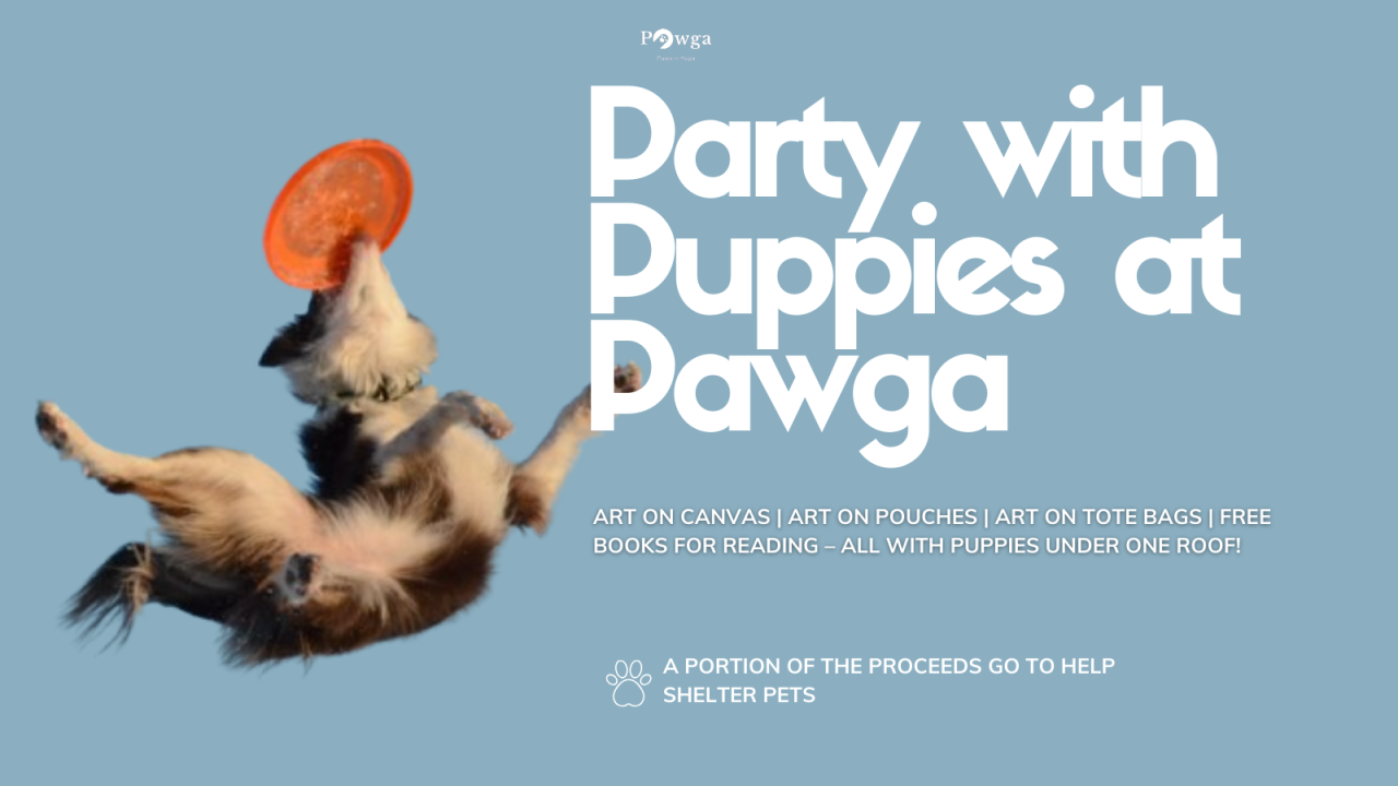 Pawga's Party with Puppies in Bangalore
