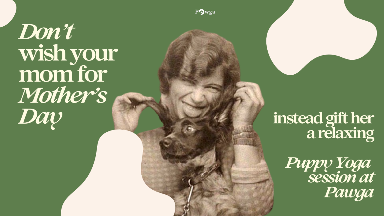 Pawga's Mother's Day Special Puppy Yoga