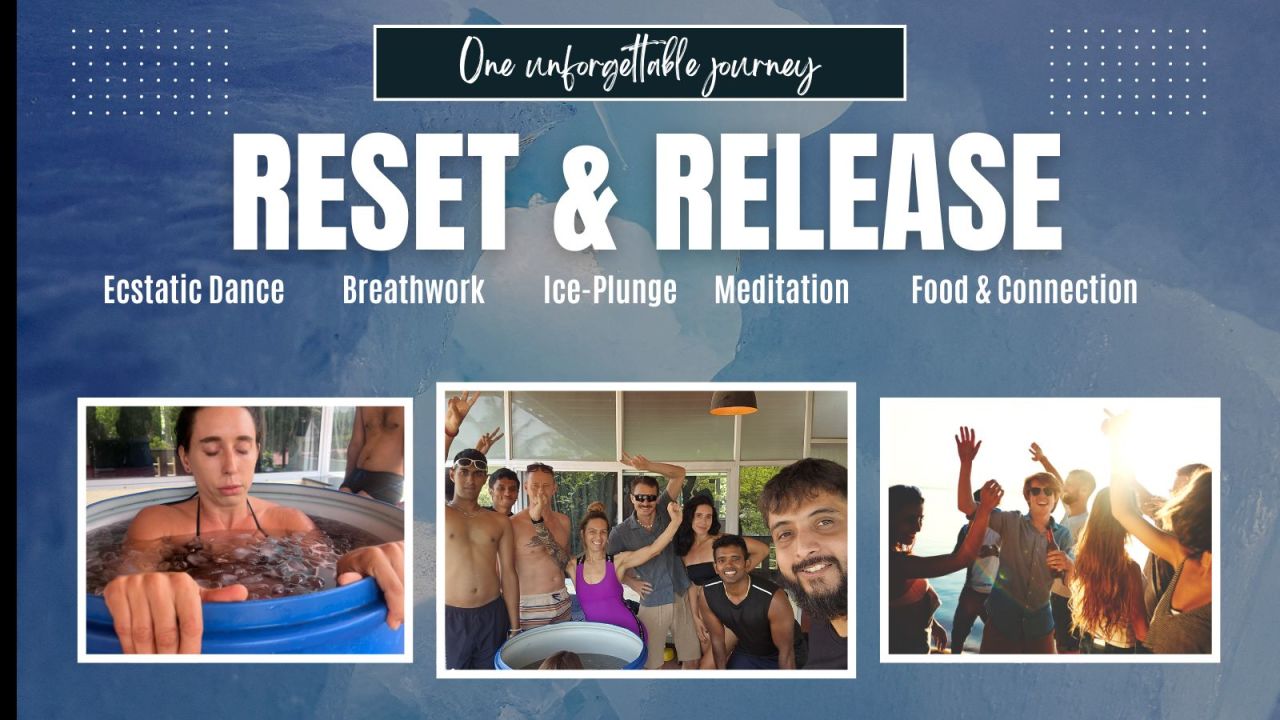 Reset & Release - Dance. Breathe. Freeze. Meditate