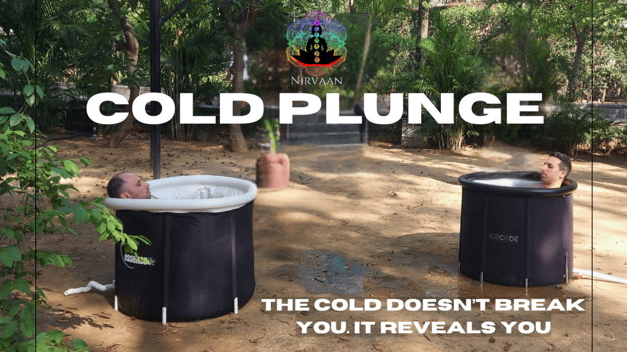 Cold Plunge