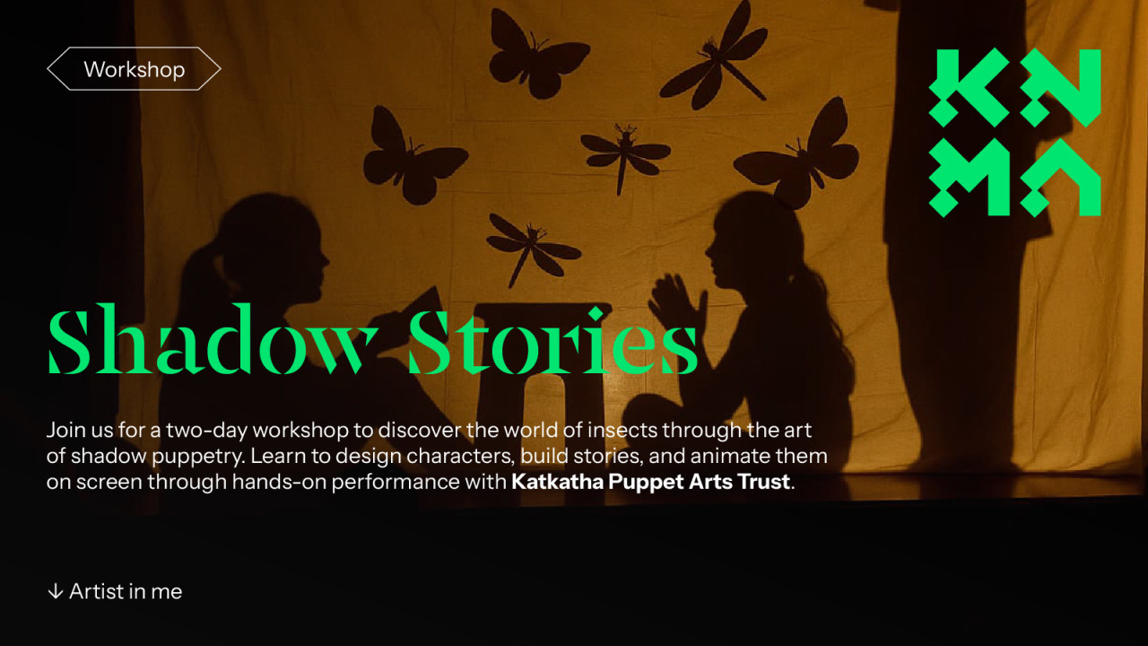 Shadow Stories