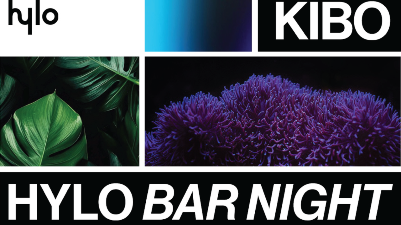 Hylo Bar Night ft. Kibo