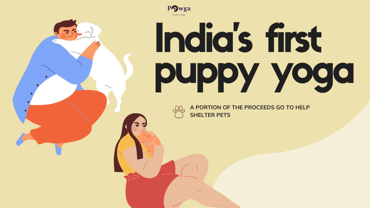 Puppy Yoga | Bengaluru