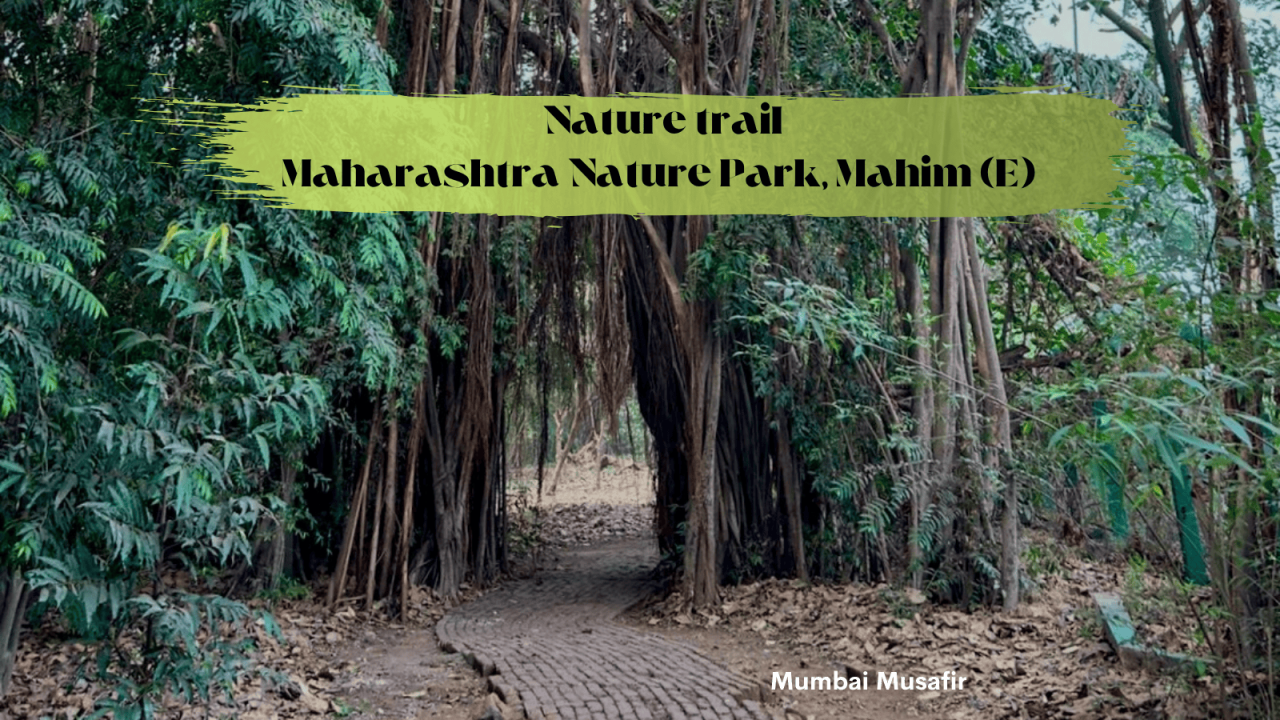 Maharashtra Nature Park - Nature Trail