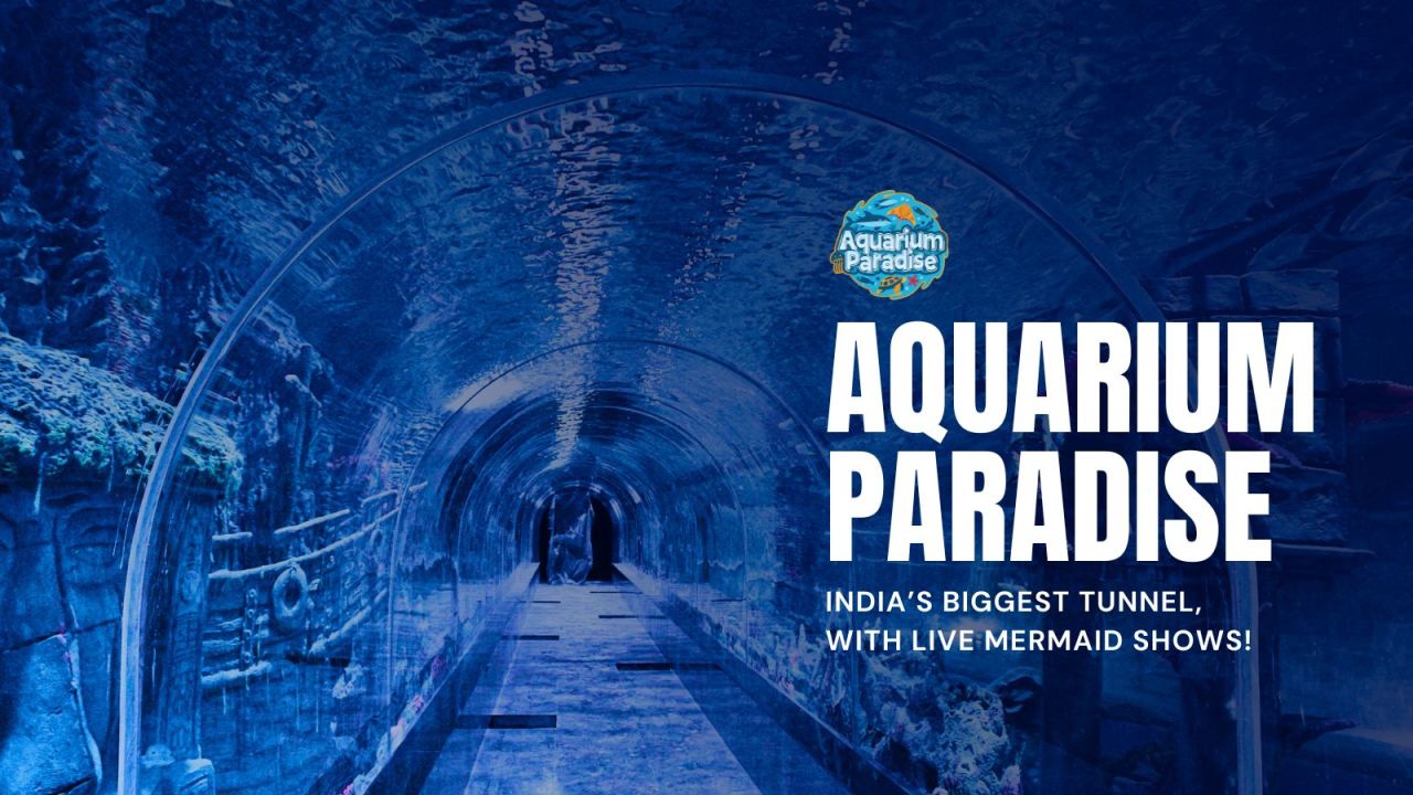 Aquarium Paradise | Bengaluru