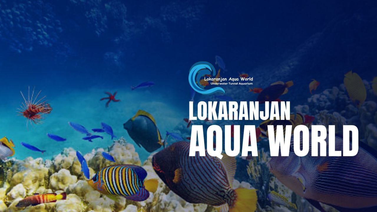 Aqua World | Mysore