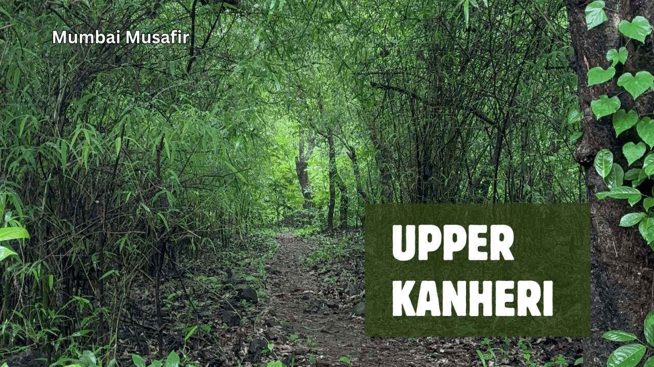 Upper Kanheri Trek, SGNP