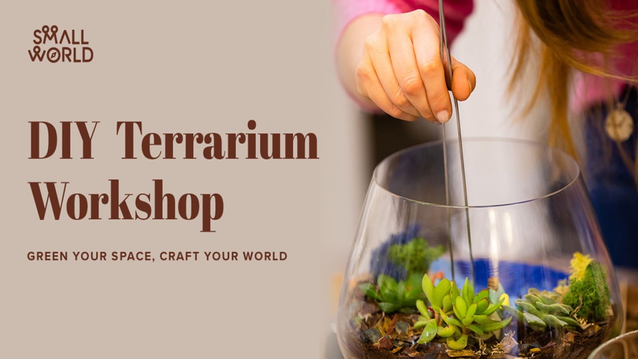 DIY Terrarium Art