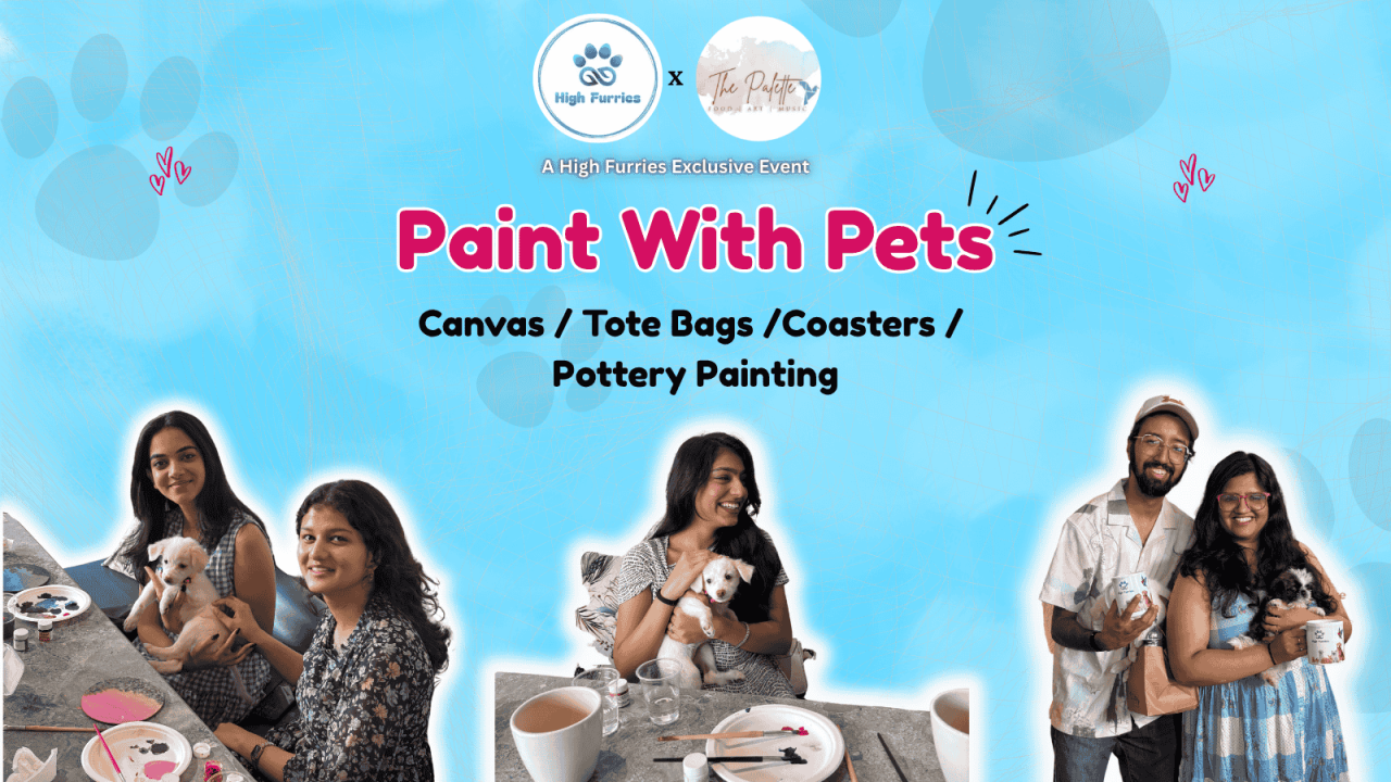 Paint with Pets by High Furries