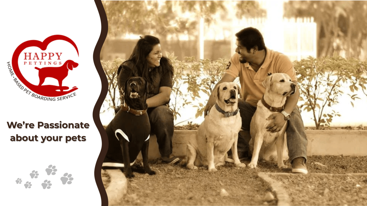 Happy Pettings | Pet Boarding